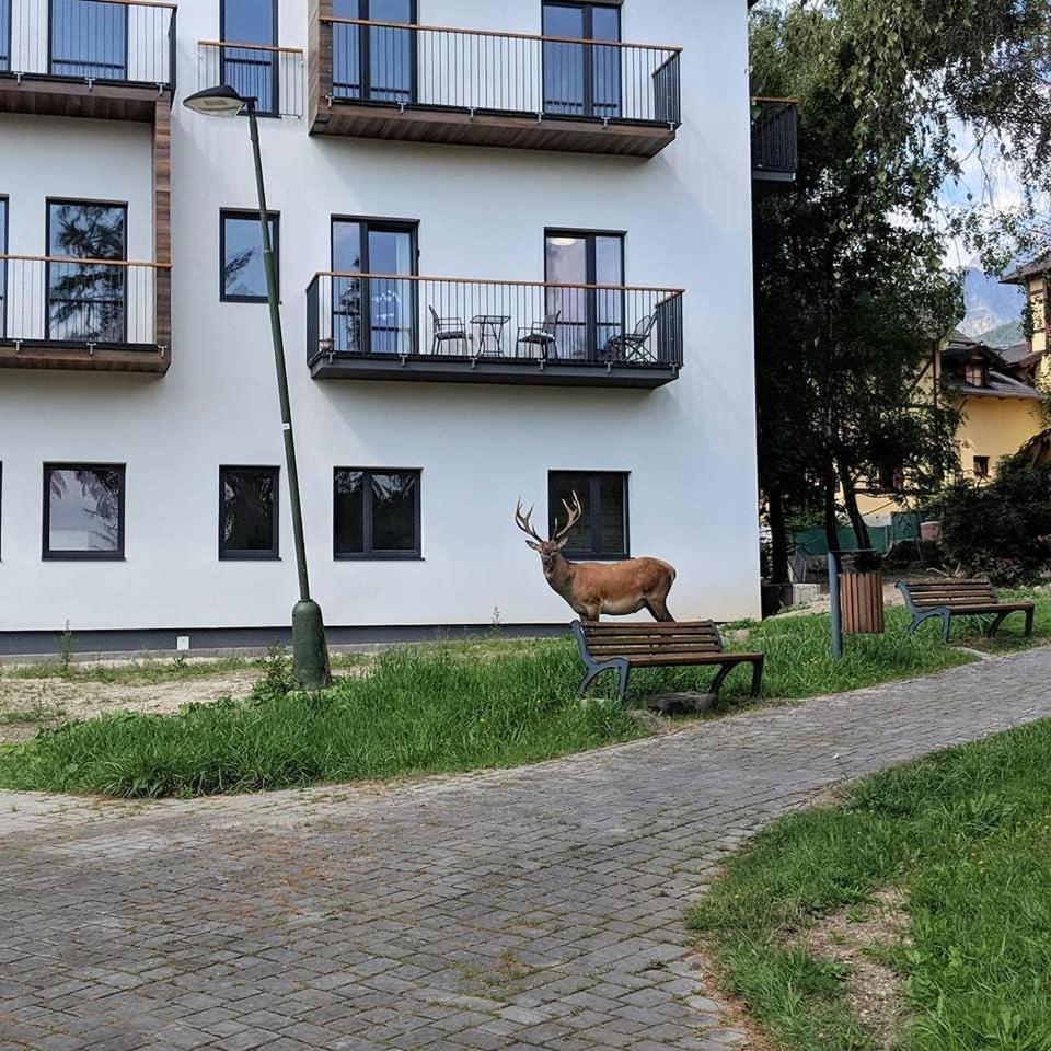 Apartman Hory - V Srdci Tatier Vysoké Tatry 外观 照片