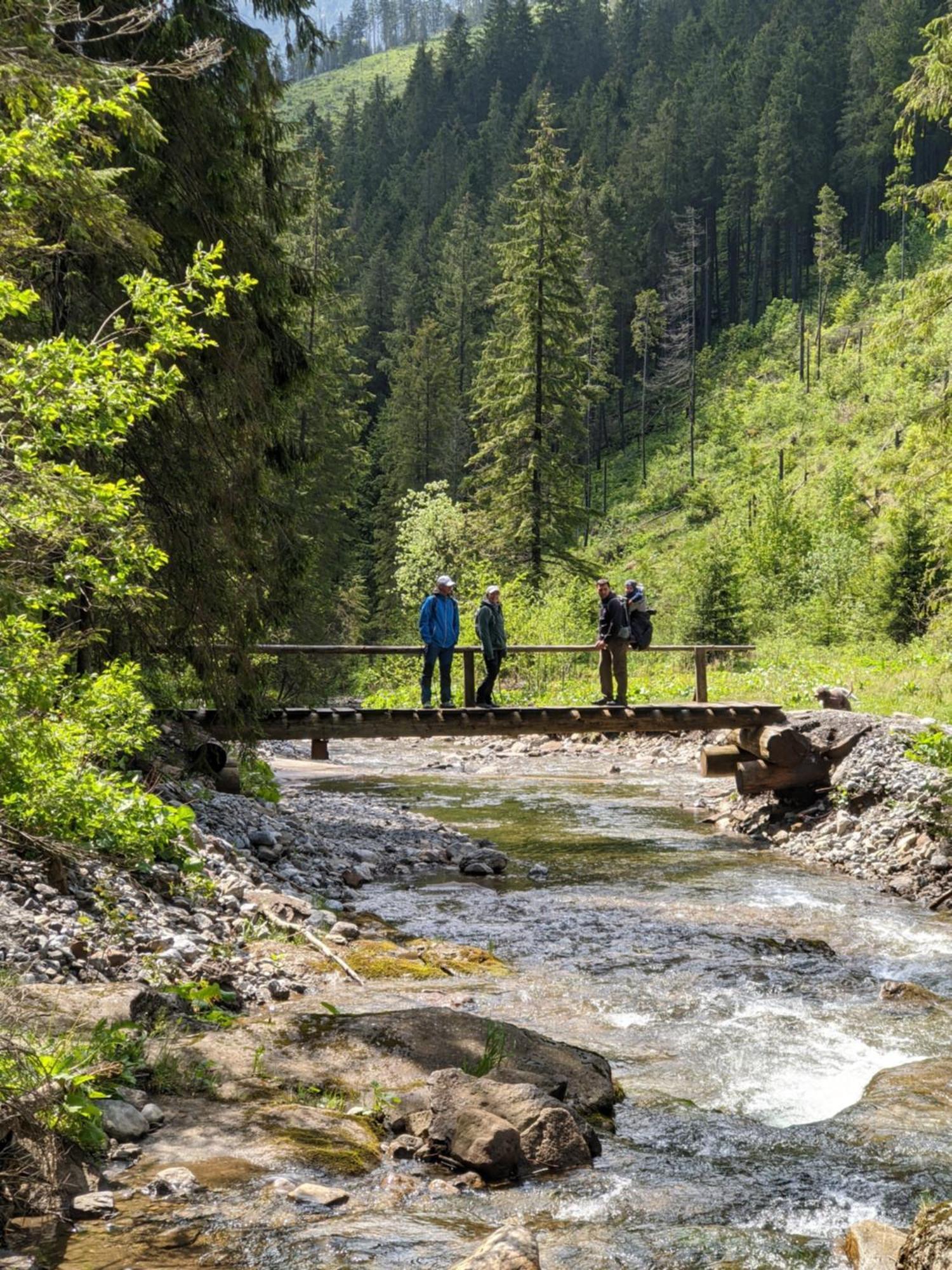 Apartman Hory - V Srdci Tatier Vysoké Tatry 外观 照片